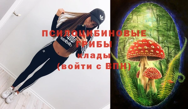 твердый Армянск