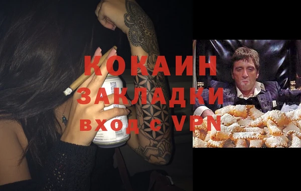 тгк Аркадак